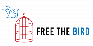 《焦虑个人故事-放飞小鸟》
