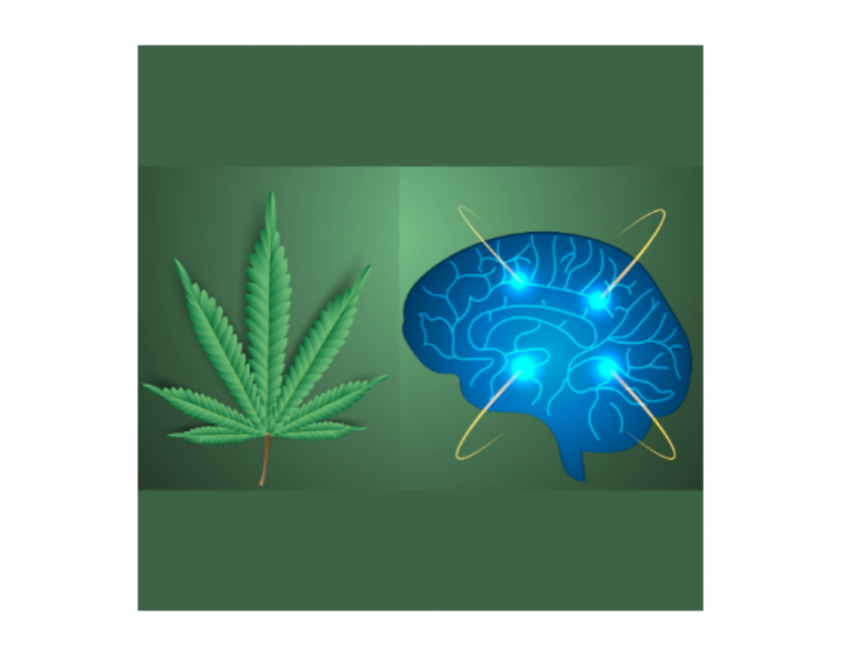 大麻:好的，坏的，丑陋的