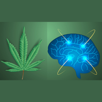 大麻研究-心理健康网络研讨会