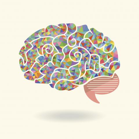 2022年秋季论坛-迷幻疗法:问题与承诺